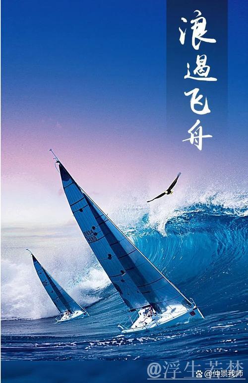 以“新”为帆，奋力开拓外贸新空间